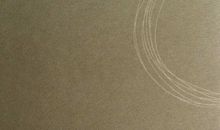 《围城》读后感交流之四