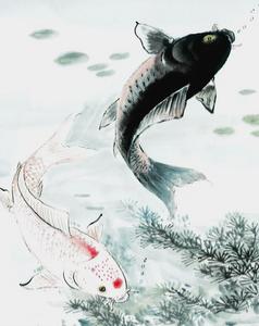 就像一条鱼