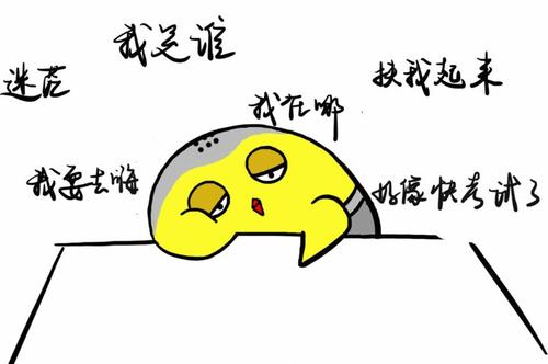 一整天不要惊慌