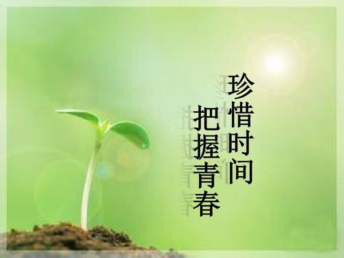把握青春的句子