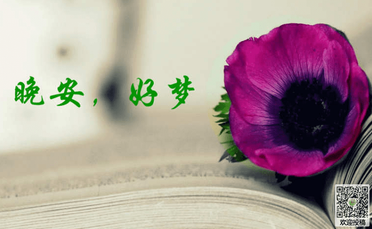 励志日记：给自己一个继续的理由