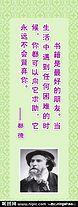 杜德行情