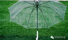 经典语录:晴天适合相见,雨天适合思念