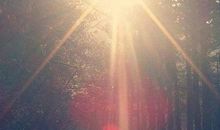 关于幸福的感言