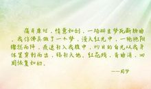 醉生梦死的句子