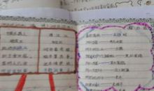 智慧背囊好词好句