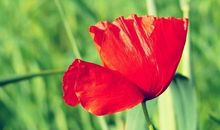 如何让自己增强热情