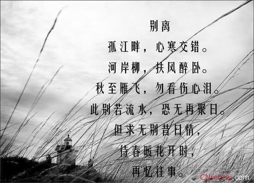 情人的离别诗