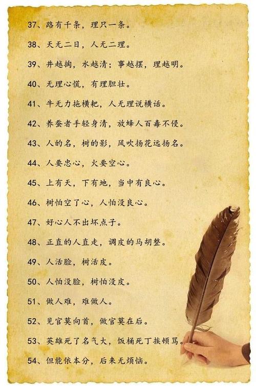 谚语的意思