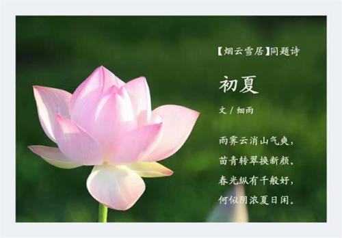 关于初夏的诗
