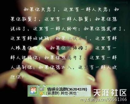 最差的句子