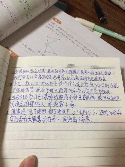 段落摘录