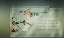 《梦里花落知多少》读后感