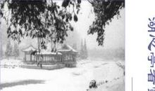 周国平："天人合一"与生态学