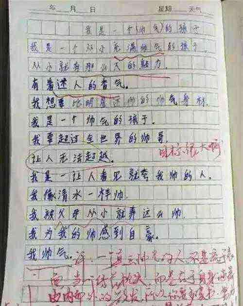 参观新农村组成