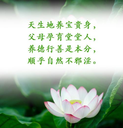 成功的见证