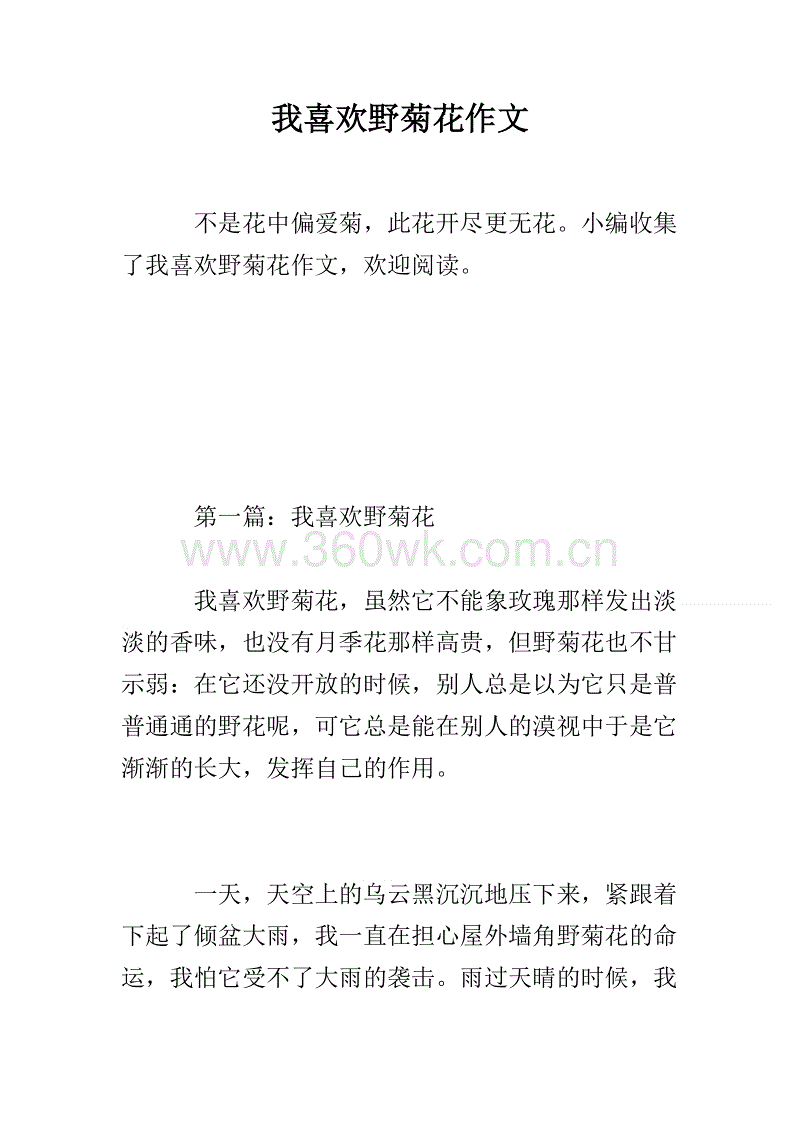 四年级组成：野生菊花