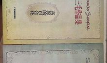 三毛：高原的百合花——玻利维亚记行