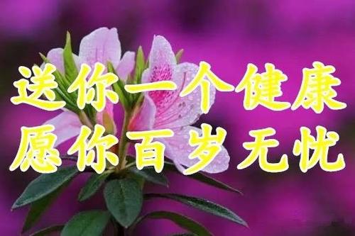 晚安心语：每天活着就是特别的一天