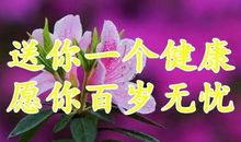 晚安心语：活着的每一天都是特别的日子