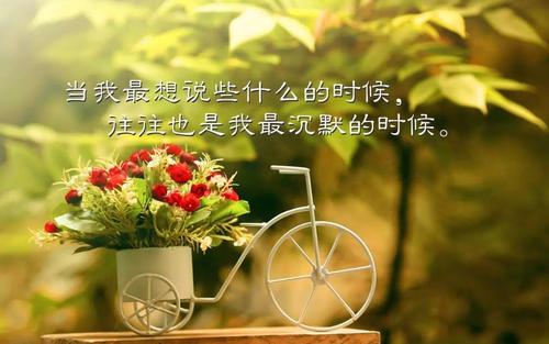 最美的句子