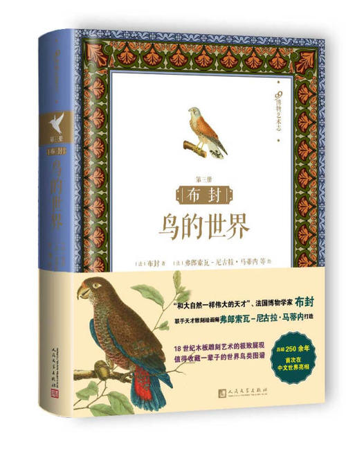 步风行情