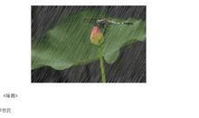 描写雨的语段