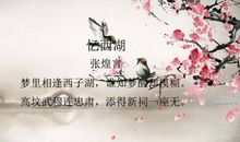 白居易写西湖的诗句