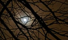 月亮很美的比喻句