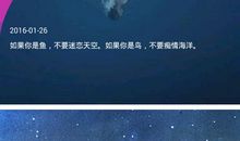 高考励志故事:倒计时11天日记