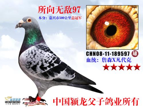 一句话无敌