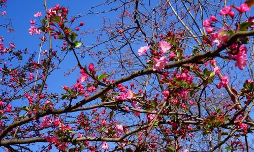 李光天：花圈