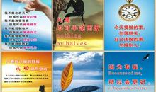 企业员工培训口号