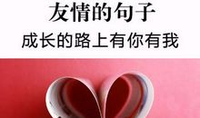 关于友谊的话语