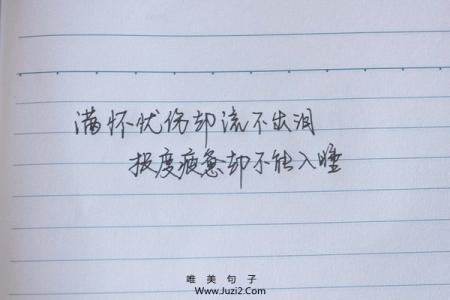 漂亮的句子来形容心情