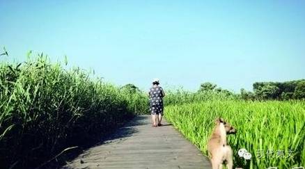 我们是如此深爱我们的孩子，他们爱我们吗？