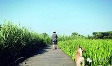 我们如此深爱我们的儿女，他们爱我们吗？