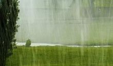 林语堂：人生的乐趣