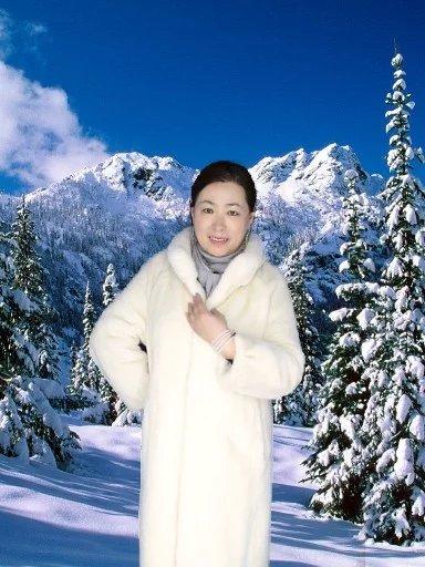 雪之歌
