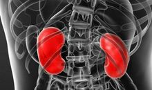 爱憎、美丑谚语