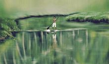 读《摆渡人》有感