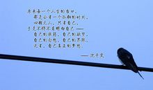 追逐梦想的14个步骤