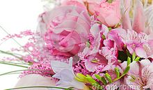 描写紫丁香的段落