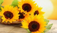 早安心语：让爱你的人放心，让恨你的人失落