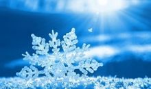 描写乡村景色的段落