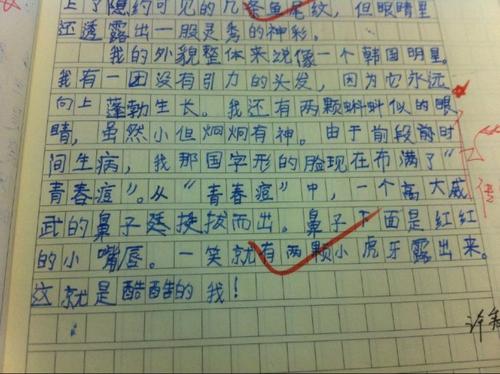 学生外貌描述的片段