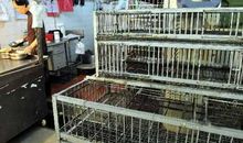 菜根新谭七招助你更成功