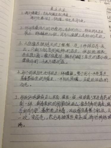 句子摘录