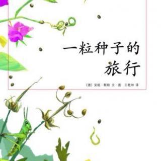 关于“种子之旅”的思考