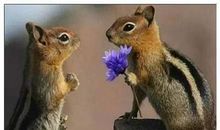 2016最雷人的句子